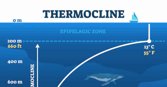 what is the thermocline